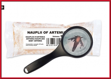 Artemia-Nauplien 90 ml