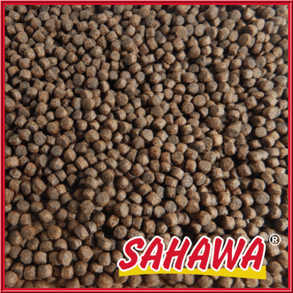 Sahawa®  Primo- Koi 6,0 mm schwimmend