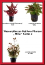 Wasserpflanzen-Set Rote Pflanzen „ Mittel“ Set Nr. 2